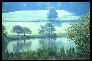 LoughriggTarn