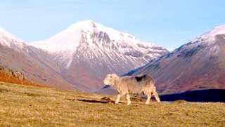 Wasdale towards Great Gable