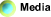 Links to the media