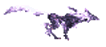 The Newshound