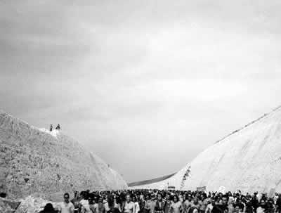 Protesters fill the M3 cutting -1993/4